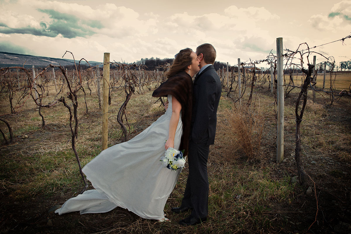 In The Vineyard